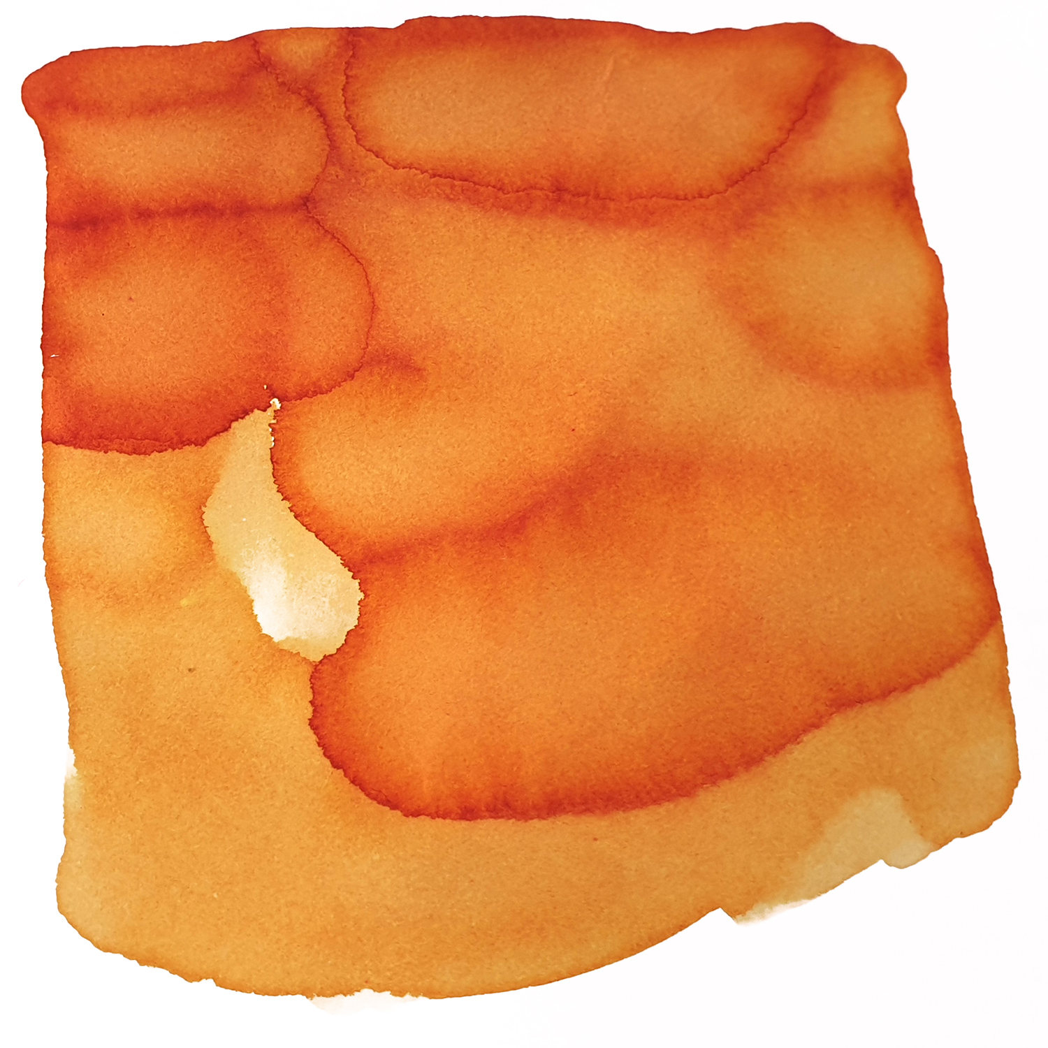 Van Dieman's Harvest - Apricot 30ml Ink Bottle Van Dieman's Harvest - Apricot 30ml Ink Bottle
