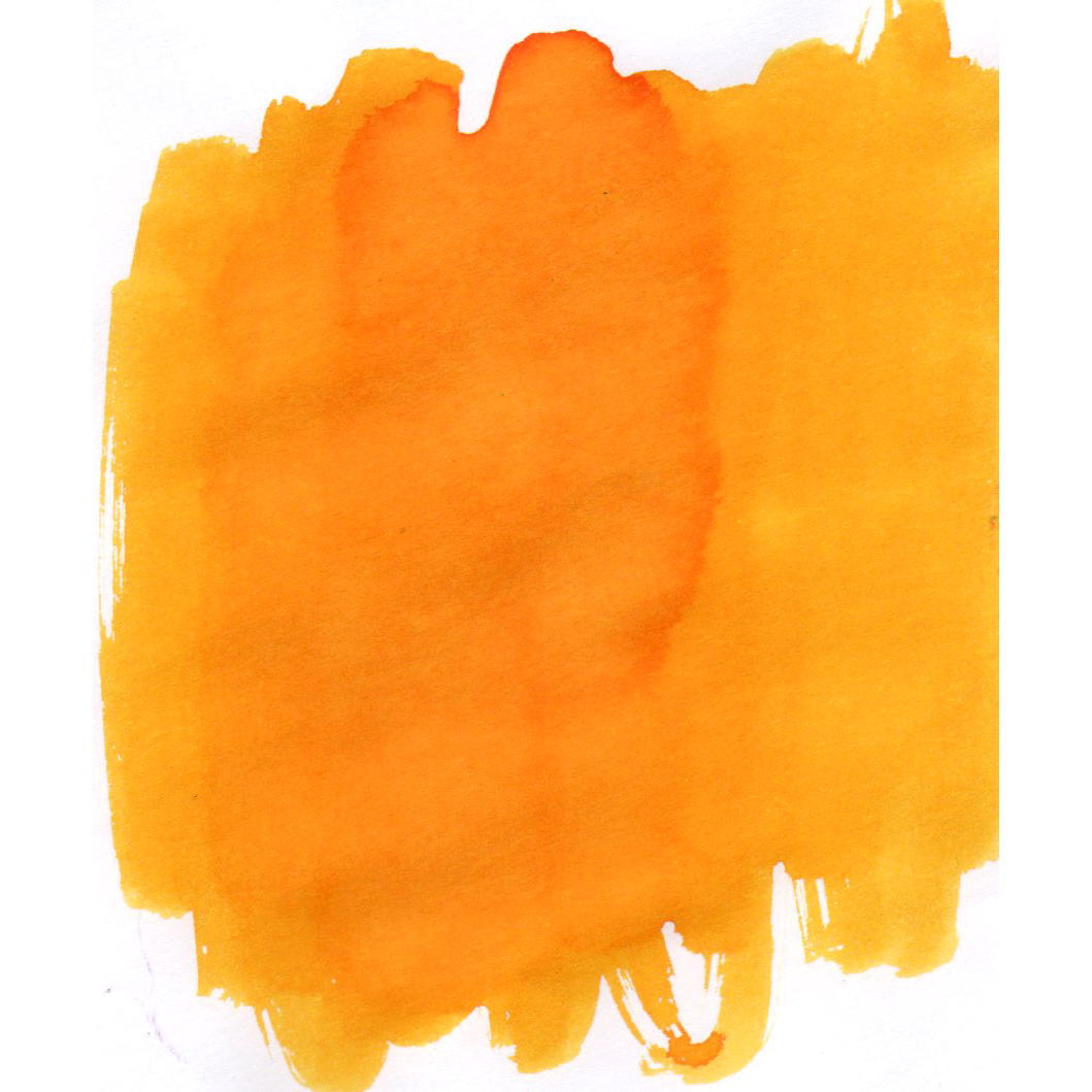 Van Dieman's Tasmania - Wattle 30ml Ink Bottle