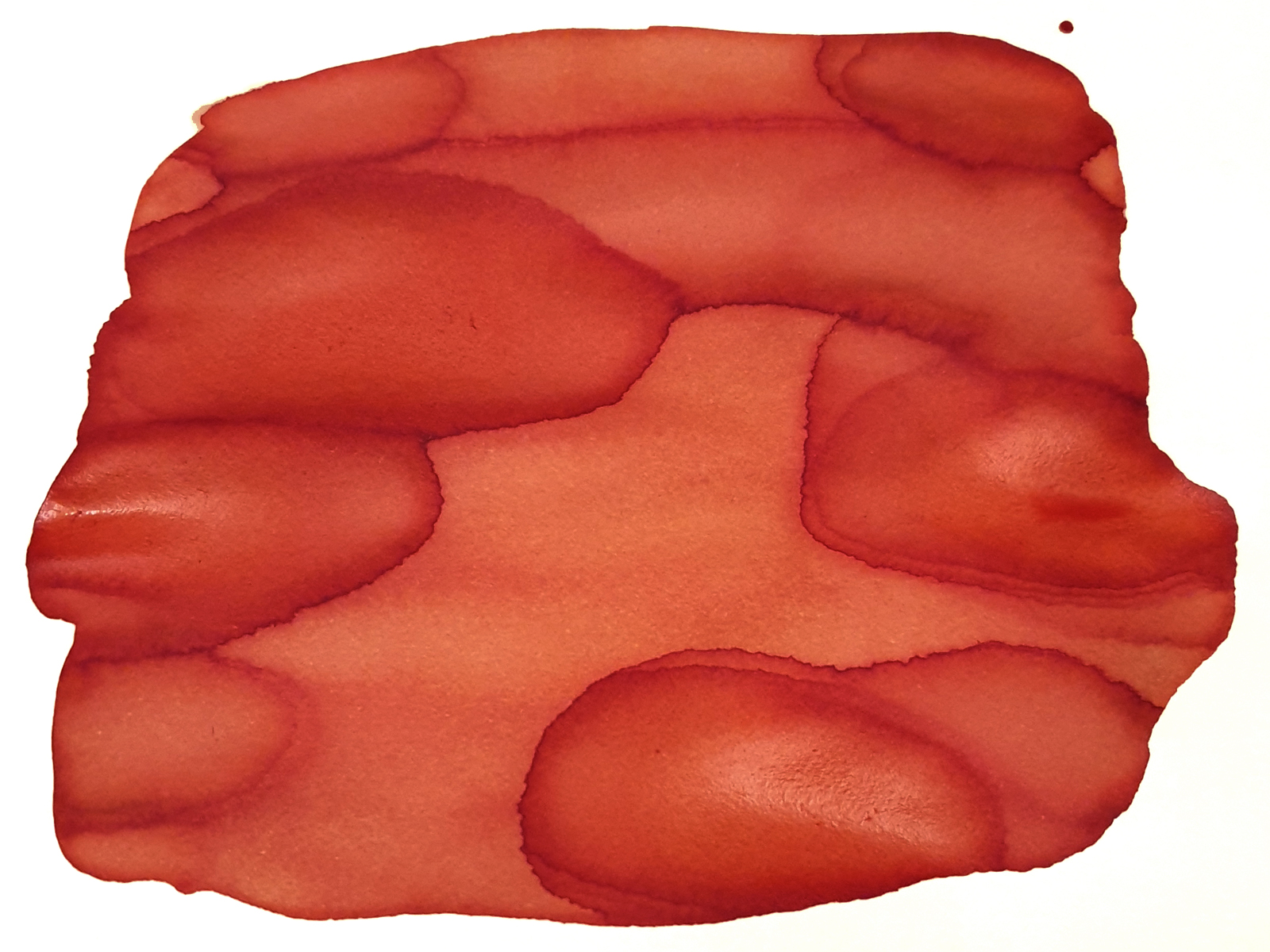 Van Dieman's Tassie Seasons - Tassie Salmon 30ml Inktpot