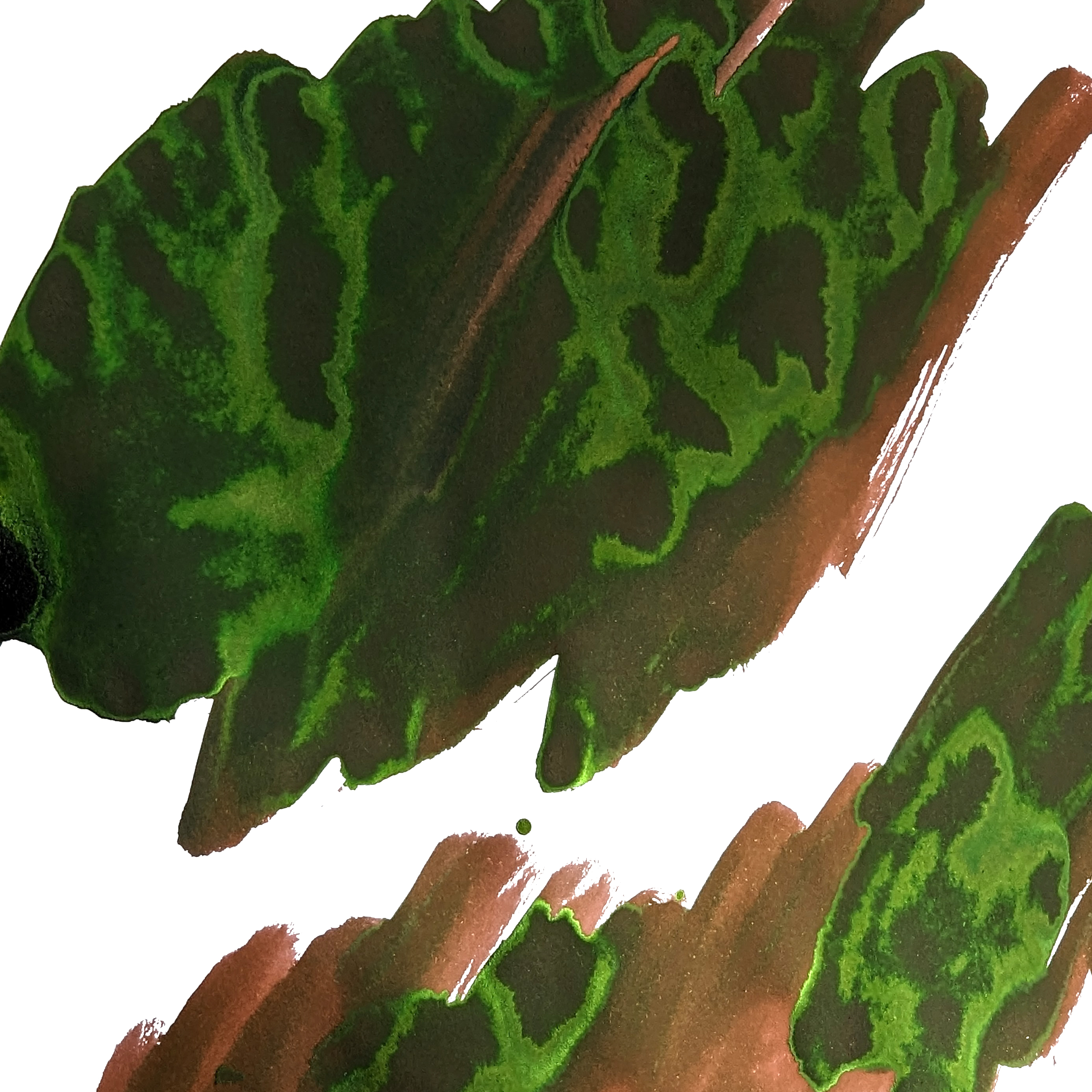 Van Dieman's Voyagers - Heemskerck and Zeehaen 30ml Inktpot
