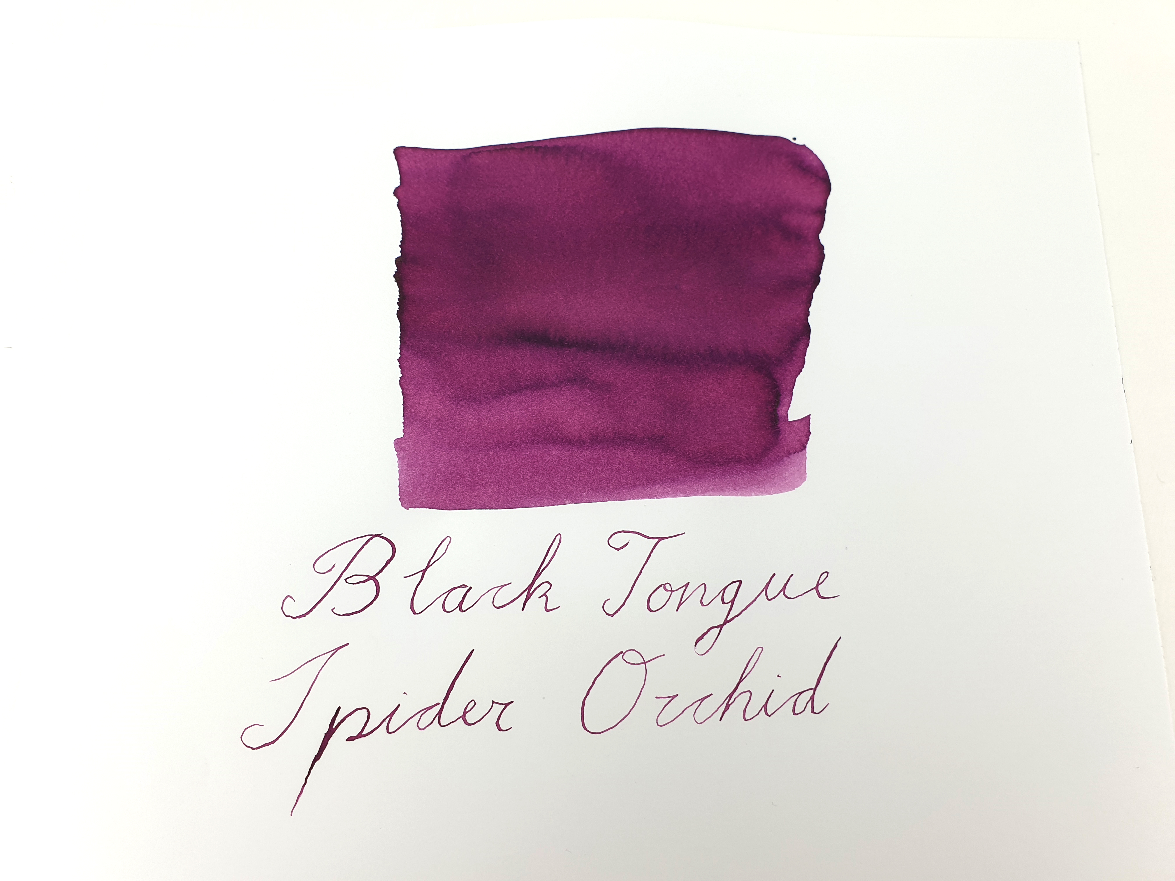 Van Dieman's Wilderness - Black-Tongue Spider Orchid 30ml Ink Bottle Van Dieman's Wilderness - Black-Tongue Spider Orchid 30ml Ink Bottle