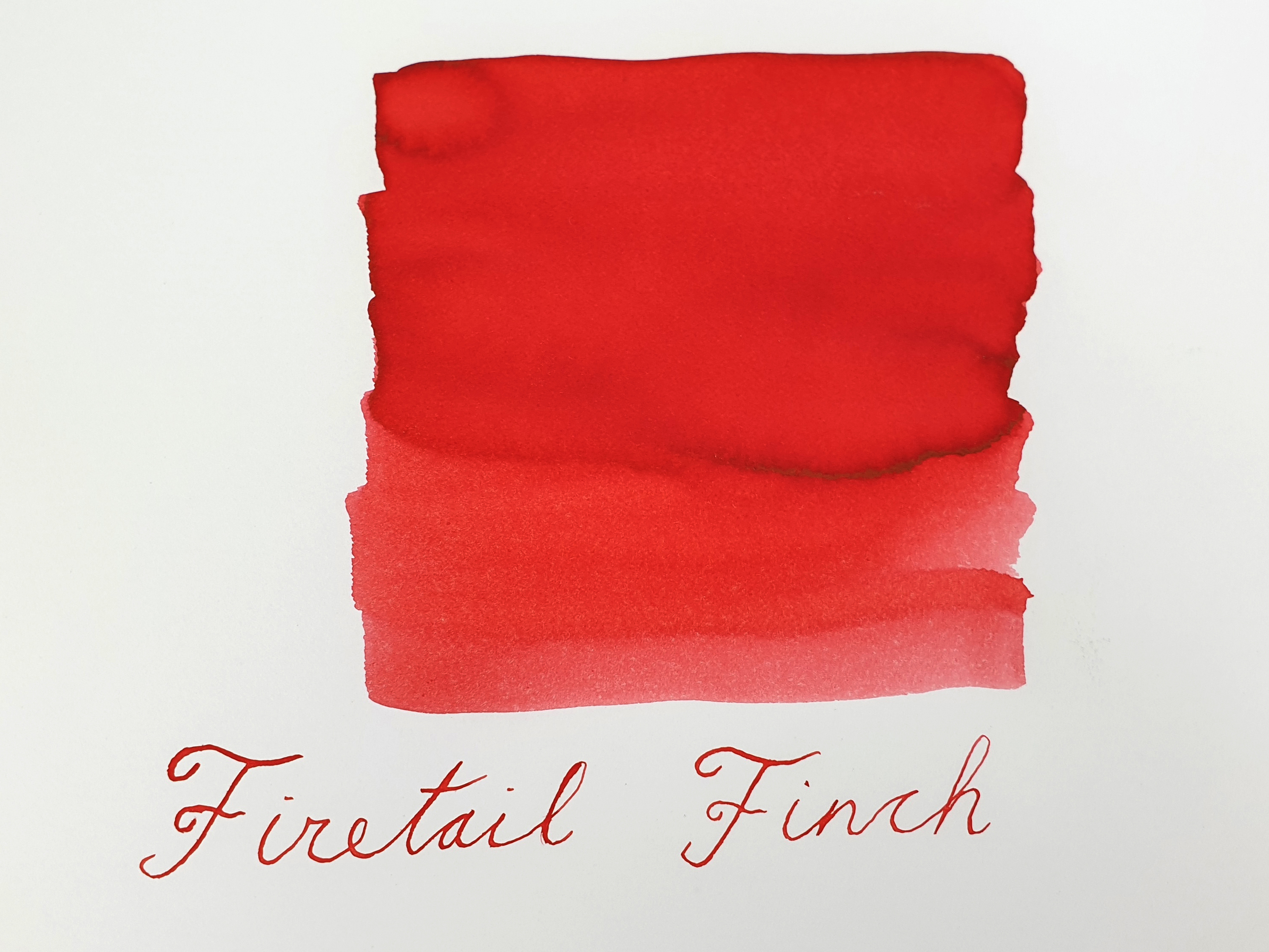 Van Dieman's Wilderness - Firetail Finch 30ml Ink Bottle