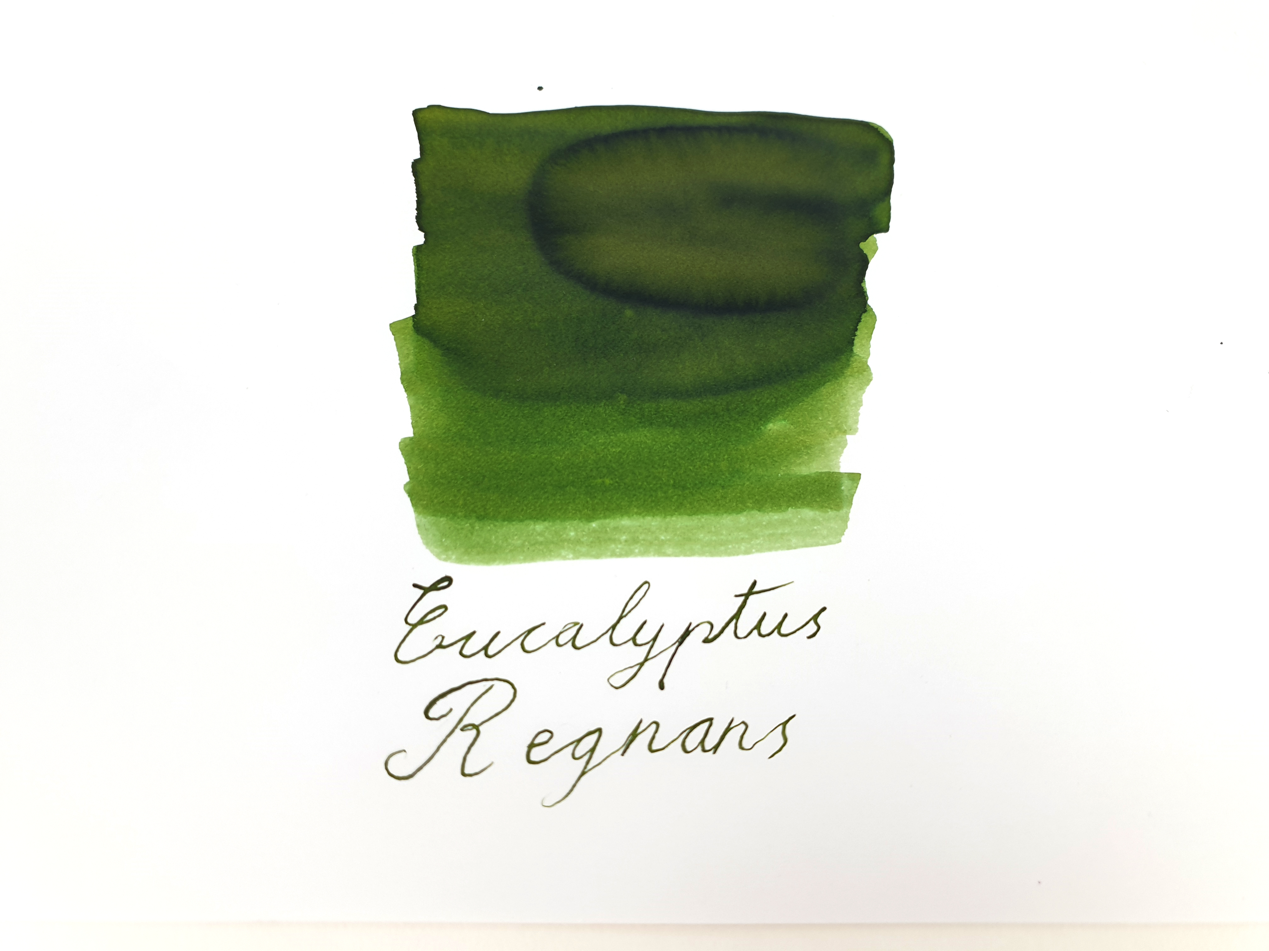Van Dieman's Wilderness - Eucalyptus Regnans 30ml Ink Bottle Van Dieman's Wilderness - Eucalyptus Regnans 30ml Ink Bottle