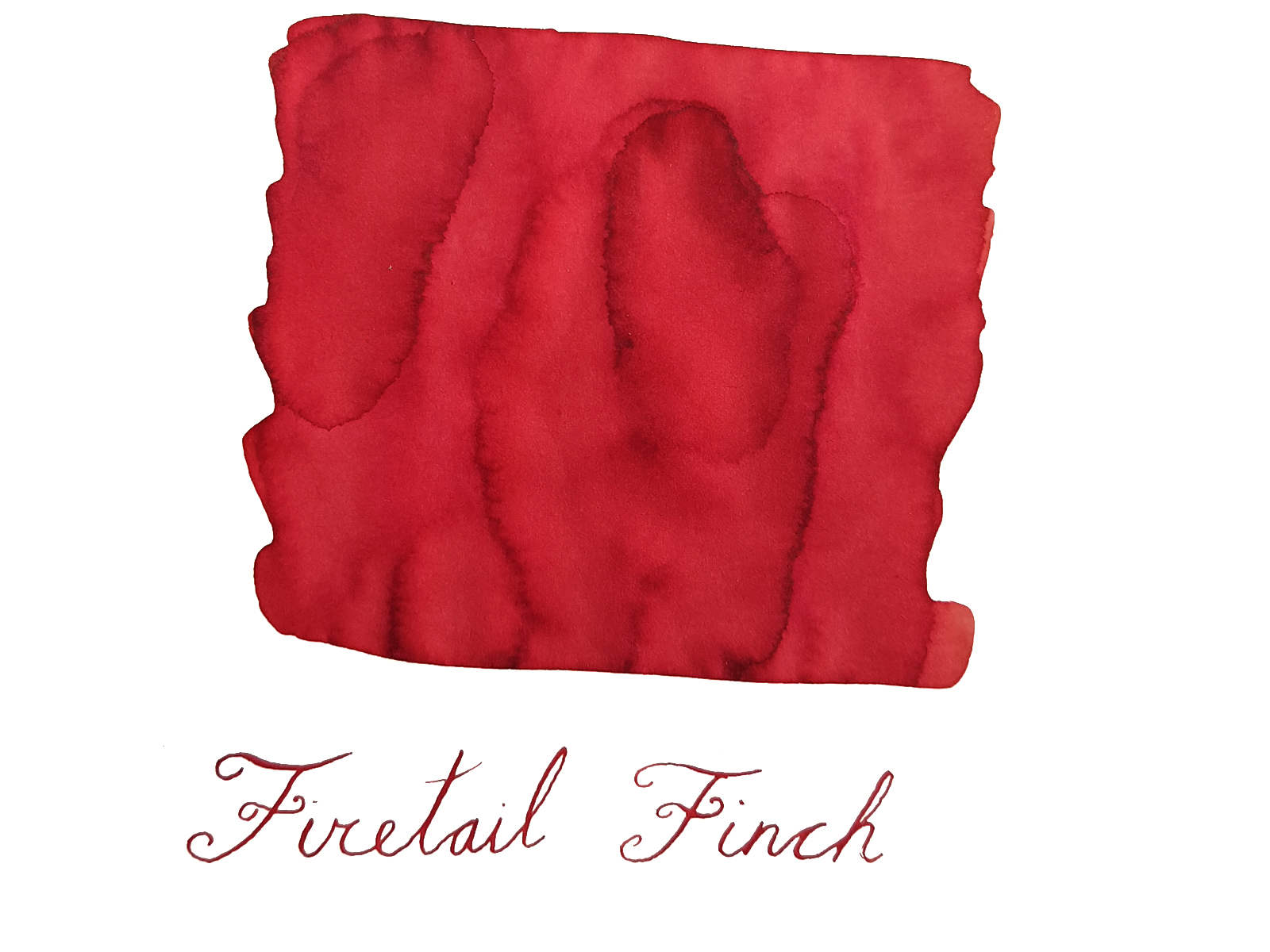 Van Dieman's Wilderness - Firetail Finch 30ml Ink Bottle