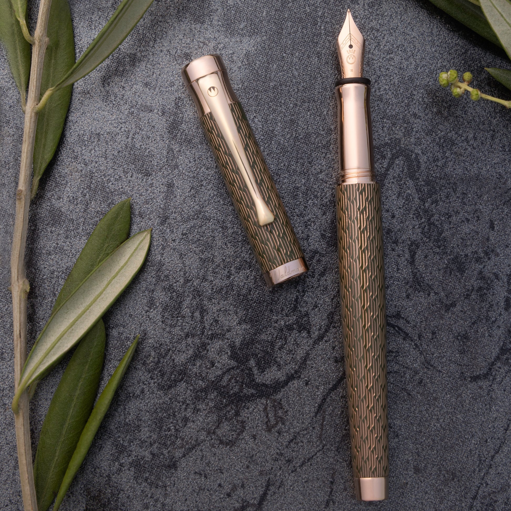 Waldmann Tango Imagination Olea RGT Fountain pen Waldmann Tango Imagination Olea RGT Fountain pen