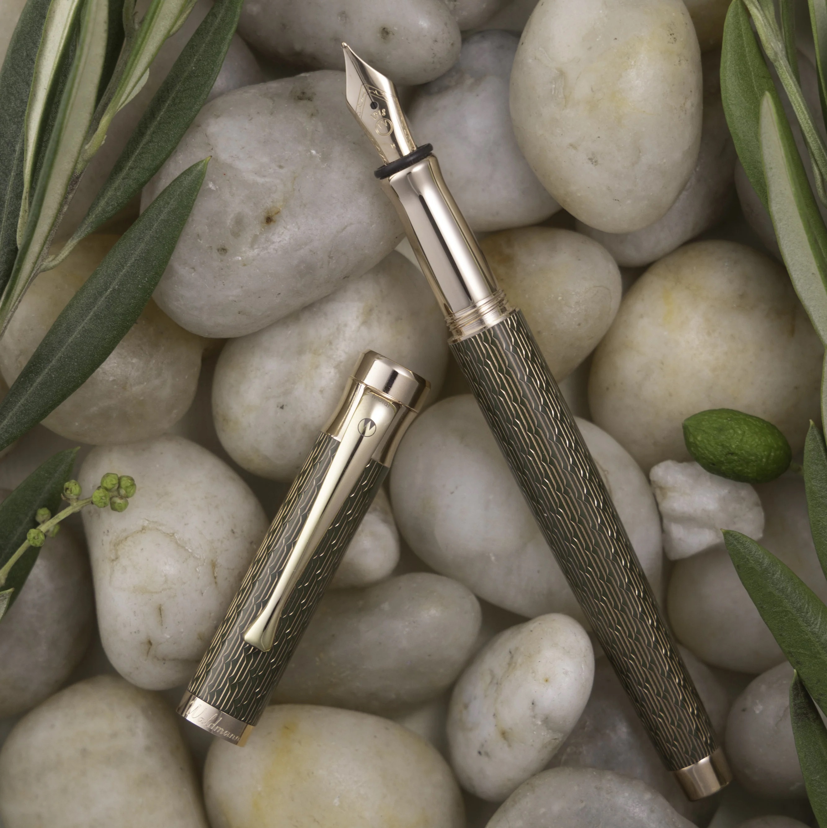 Waldmann Tango Imagination Olea RGT Fountain pen Waldmann Tango Imagination Olea RGT Fountain pen