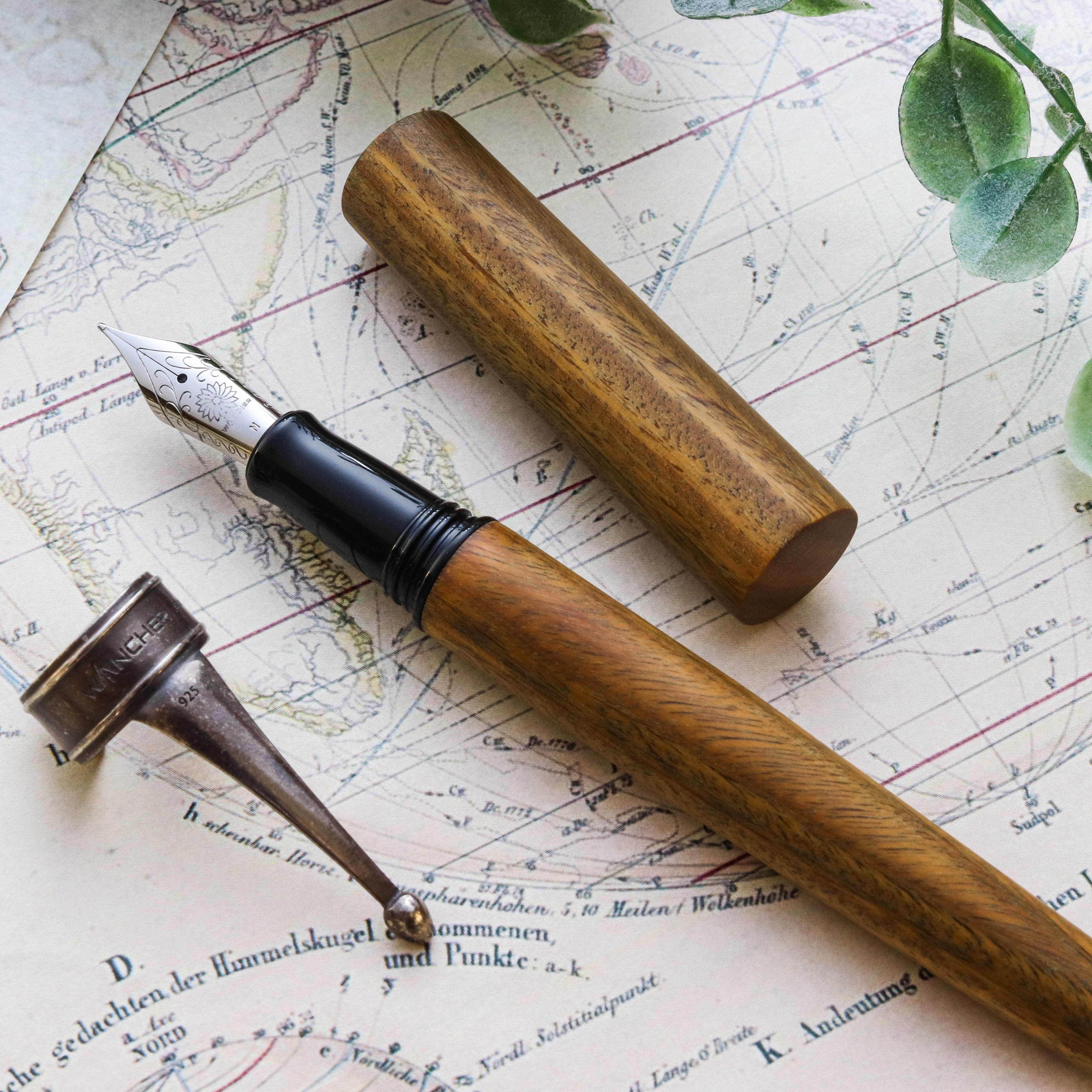 Wancher Sekai World Tree Verawood Fountain Pen Wancher Sekai World Tree Verawood Fountain Pen