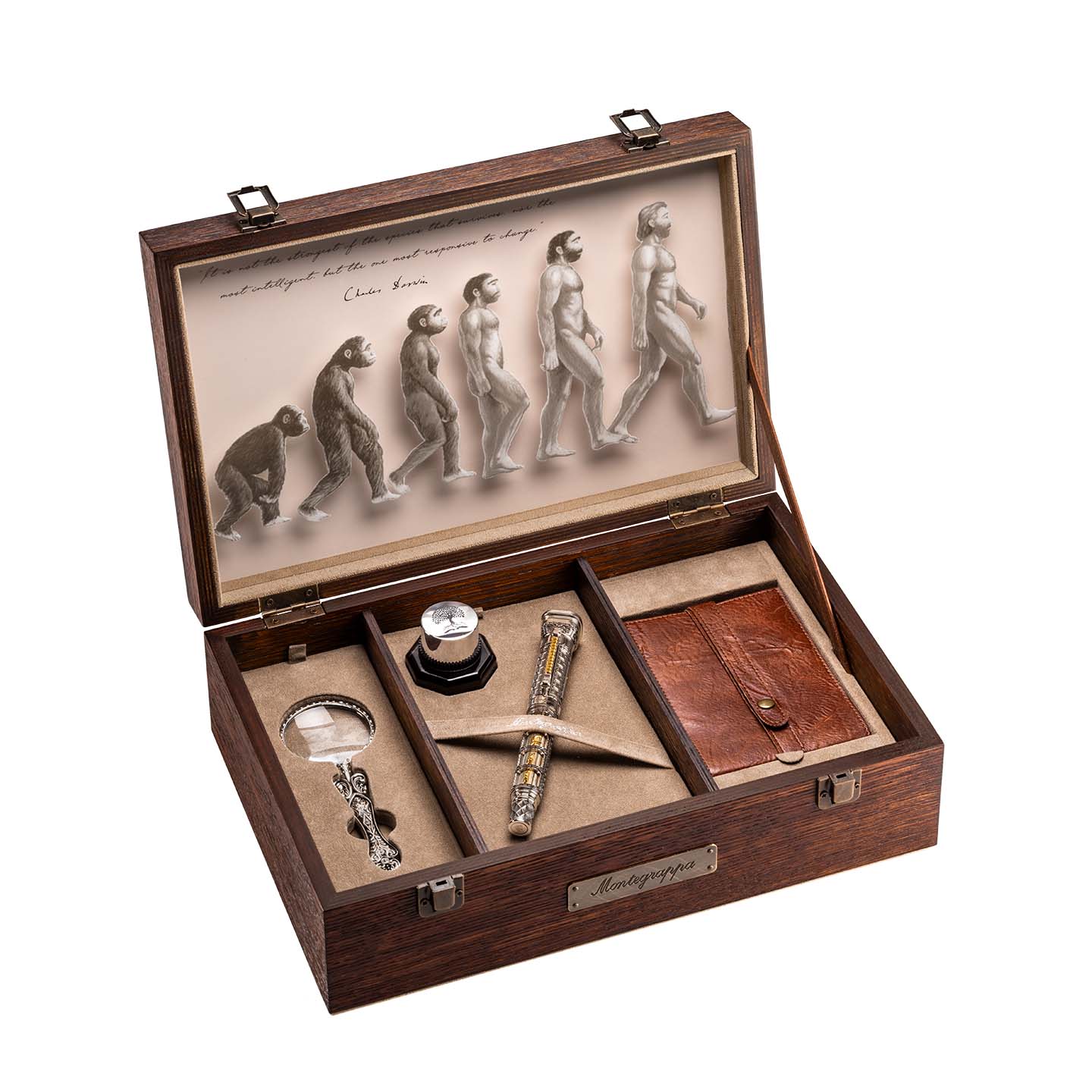 Montegrappa Théorie de l'évolution LE Stylo Plume