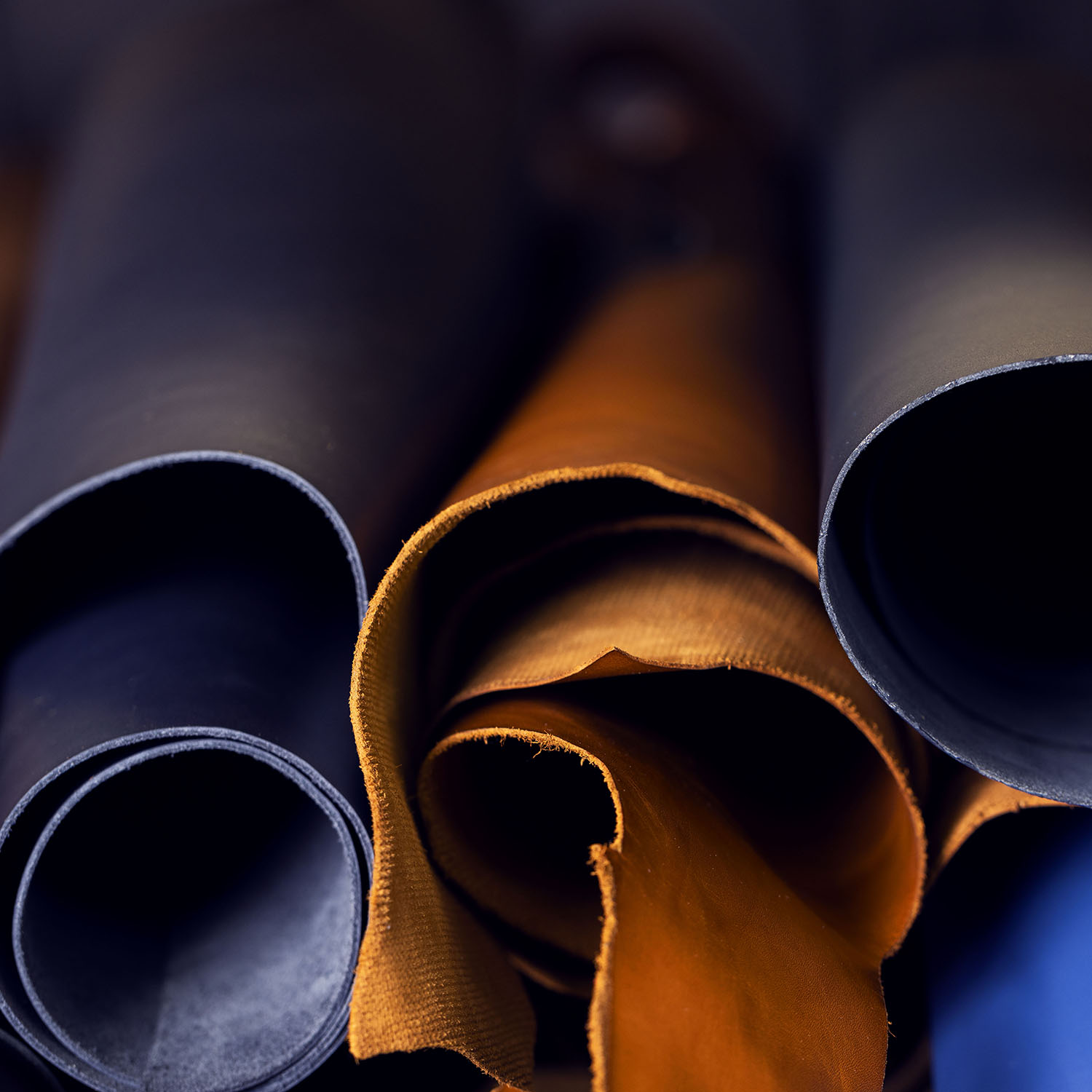 Caran d'Ache Varius Trophy LE Stylo plume